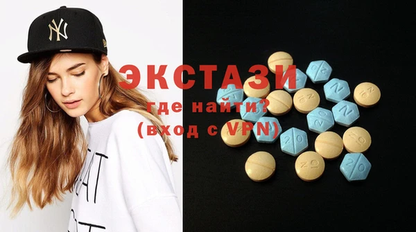 индика Нягань