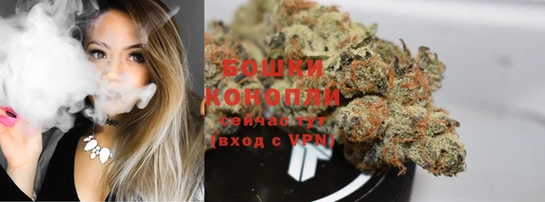 spice Осташков