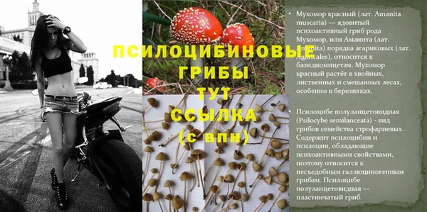 гашиш Нязепетровск