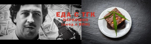 индика Нягань