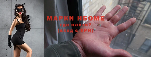 индика Нягань