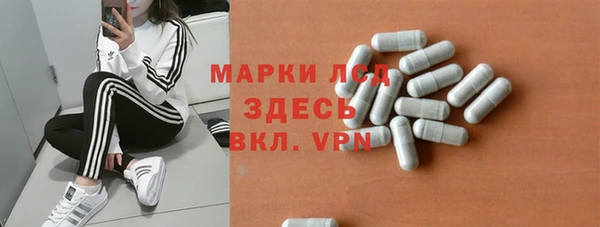 индика Нягань