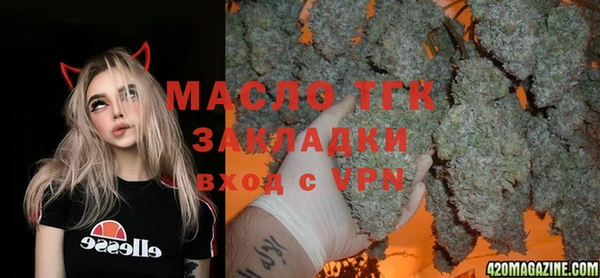 индика Нягань