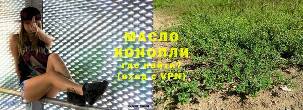 индика Нягань