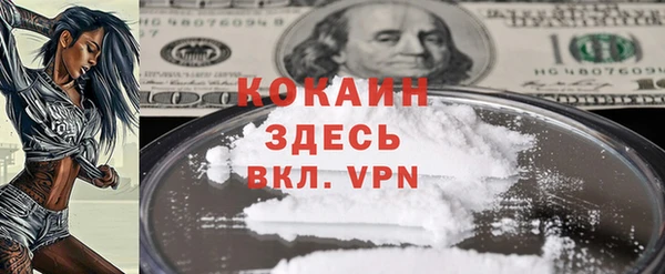 индика Нягань