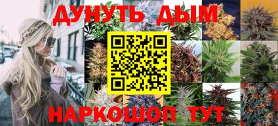 стафф Берёзовский