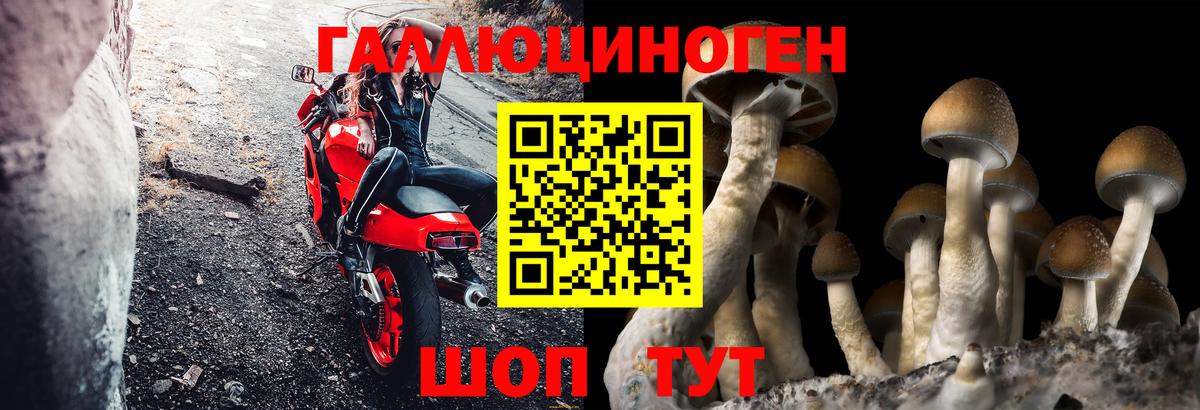 Псилоцибиновые грибы прущие грибы Зерноград