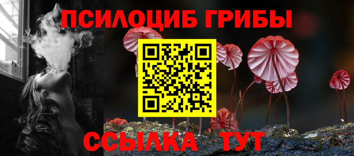 Псилоцибиновые грибы мицелий  Псилоцибиновые грибы MAGIC MUSHROOMS  Зерноград  где продают наркотики  Вход с VPN 