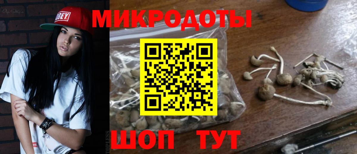 Псилоцибиновые грибы Magic Shrooms  Зерноград 
